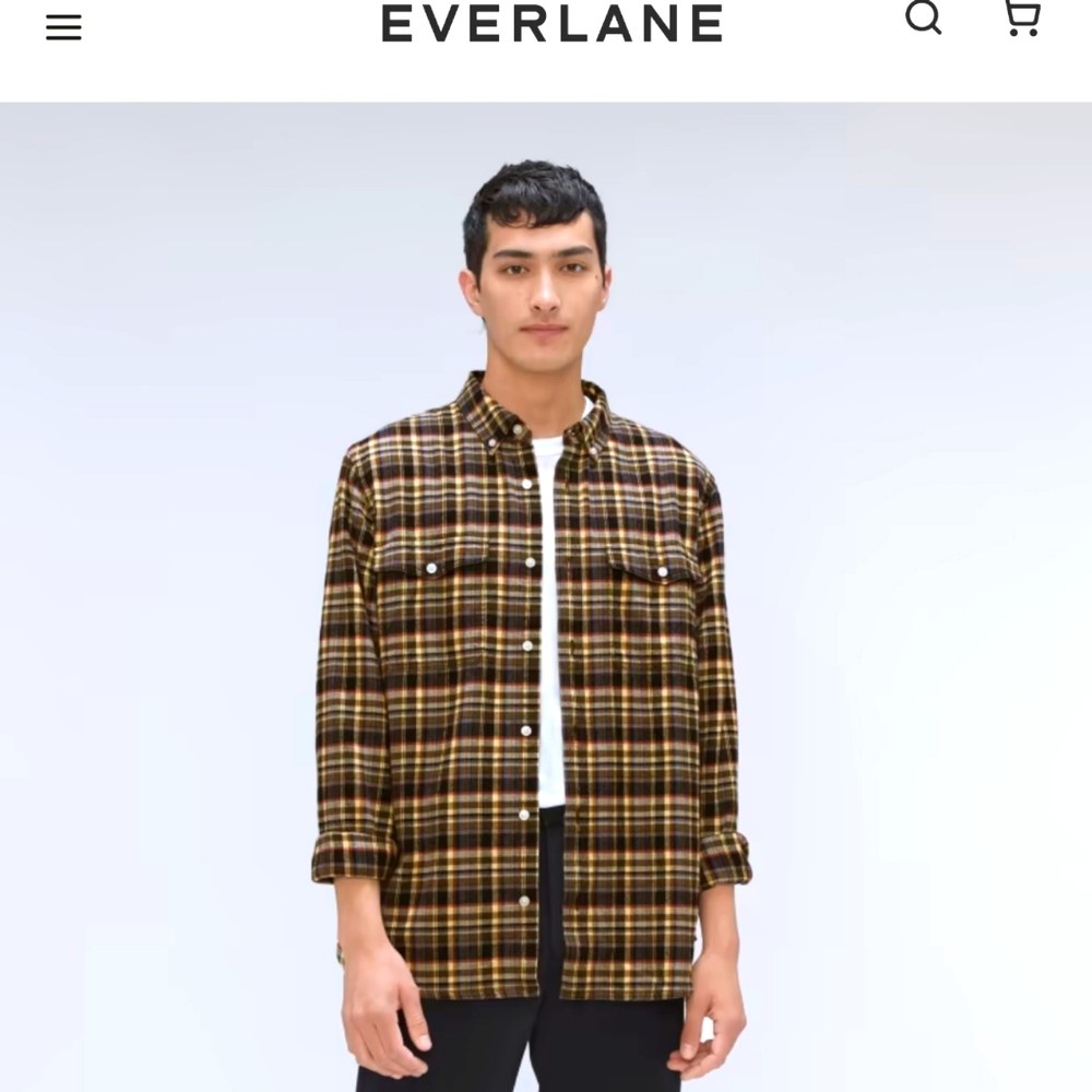 🆕 EVERLANE The Brushed Flannel Shirt